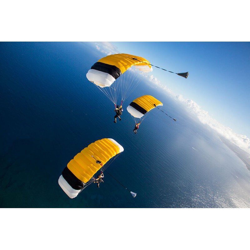 Icarus Sfire Skydiving Main Canopy